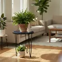 1000022219.webp