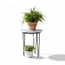 1000022235.webp