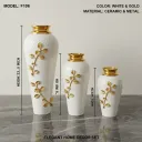 569.webp