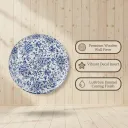 8.webp