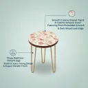 PS IG 27.webp