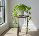 PP30 Exotic Floral and Bird Enamel Side Table with Black Hairpin Legs - 3 Sizes